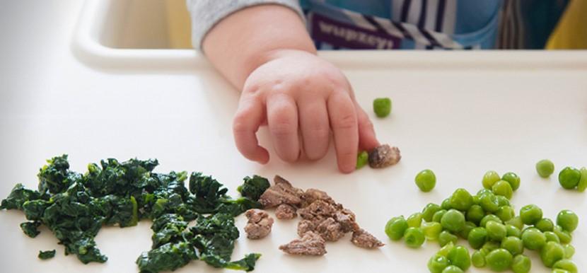¿Es una dieta vegetariana saludable para los niños?