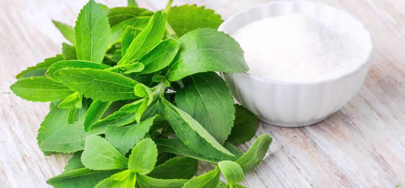 Mitos y verdades sobre la stevia
