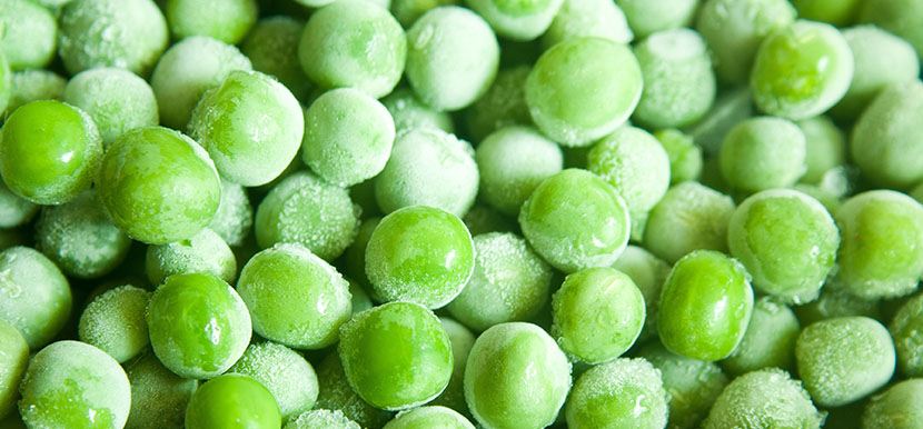 La ciencia de la conservaci&oacute;n de los alimentos